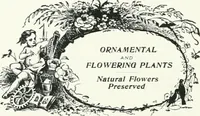 Picture 76 of 315 from Fifty years of Odd Fellowship in California : commemorating the founding of the Order by the instituting of California Lodge No. 1, on September ninth, eighteen hundred and forty-nine (1899), leaf 102