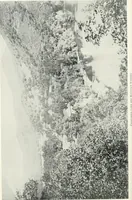 Picture 104 of 315 from Fifty years of Odd Fellowship in California : commemorating the founding of the Order by the instituting of California Lodge No. 1, on September ninth, eighteen hundred and forty-nine (1899), leaf 128
