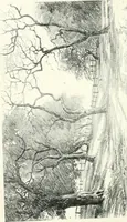 An illustration from Fifty years of Odd Fellowship in California : commemorating the founding of the Order by the instituting of California Lodge No. 1, on September ninth, eighteen hundred and forty-nine (1899)