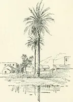 An illustration from Fifty years of Odd Fellowship in California : commemorating the founding of the Order by the instituting of California Lodge No. 1, on September ninth, eighteen hundred and forty-nine (1899)