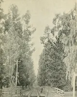 Picture 314 of 315 from Fifty years of Odd Fellowship in California : commemorating the founding of the Order by the instituting of California Lodge No. 1, on September ninth, eighteen hundred and forty-nine (1899), leaf 359