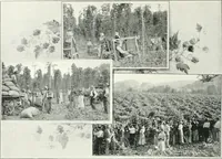 Picture 56 of 315 from Fifty years of Odd Fellowship in California : commemorating the founding of the Order by the instituting of California Lodge No. 1, on September ninth, eighteen hundred and forty-nine (1899), leaf 82