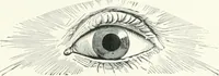An illustration from Fifty years of Odd Fellowship in California : commemorating the founding of the Order by the instituting of California Lodge No. 1, on September ninth, eighteen hundred and forty-nine (1899)