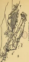 An illustration from Fifty years of work without wages : (laborare est orare) (1912)