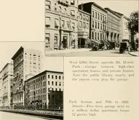 Picture 87 of 207 from Final report : June 2, 1916 (1916), leaf 305