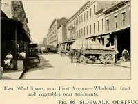 Picture 115 of 207 from Final report : June 2, 1916 (1916), leaf 316