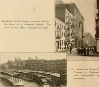 Picture 17 of 207 from Final report : June 2, 1916 (1916), leaf 49