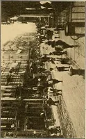 An illustration from Final report : June 2, 1916 (1916)