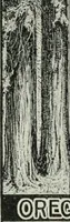 Picture 80 of 174 from Financial advertising, for commercial and savings banks, trust, title insurance, and safe deposit companies, investment houses (1908), leaf 542