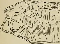 An illustration from The fine arts (1901)