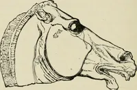 An illustration from The fine arts (1901)