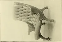 Picture 45 of 72 from Fine leather furniture. (1899), leaf 45