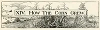 An illustration from Finger plays for nursery and kindergarten (1893)