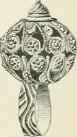 An illustration from Franks bequest. Catalogue of the finger rings, early Christian, Byzantine, Teutonic, mediaeval and later (1912)