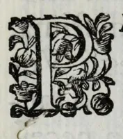 An illustration from Fiori d'ingegno, composizioni in lode d'vna bellissima effigie di Primauera, opera del signor Carlo Marati famoso pittore romano, appresso S.E. il signor Nicolò Michieli senatore veneto (1685)