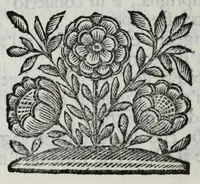 An illustration from Fiori d'ingegno, composizioni in lode d'vna bellissima effigie di Primauera, opera del signor Carlo Marati famoso pittore romano, appresso S.E. il signor Nicolò Michieli senatore veneto (1685)