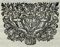 An illustration from Fiori d'ingegno, composizioni in lode d'vna bellissima effigie di Primauera, opera del signor Carlo Marati famoso pittore romano, appresso S.E. il signor Nicolò Michieli senatore veneto (1685)