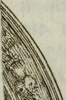 An illustration from Firenze antica, e moderna illustrata (1789)