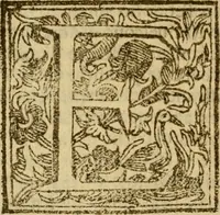 An illustration from Firenze città nobilissima (1684)