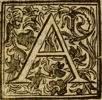 An illustration from Firenze città nobilissima (1684)