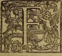 Picture 6 of 47 from Firenze città nobilissima (1684), leaf 26