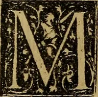 Picture 25 of 47 from Firenze città nobilissima (1684), leaf 438