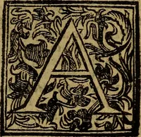 An illustration from Firenze città nobilissima (1684)