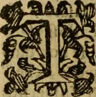 An illustration from Firenze città nobilissima (1684)