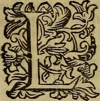 An illustration from Firenze città nobilissima (1684)