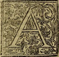 An illustration from Firenze città nobilissima (1684)