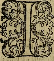 An illustration from Firenze città nobilissima (1684)