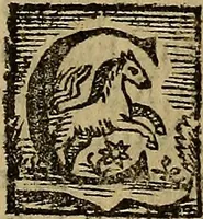 An illustration from Firenze città nobilissima (1684)