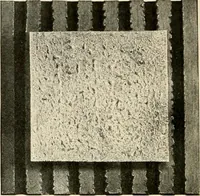 An illustration from Fireproof construction for houses and other buildings at moderate cost (1910)