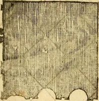 An illustration from The first booke of architecture : entreating of geometrie. Translated out of Italian into Dutch and out of Dutch into English (1611)
