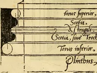 An illustration from The first booke of architecture : entreating of geometrie. Translated out of Italian into Dutch and out of Dutch into English (1611)
