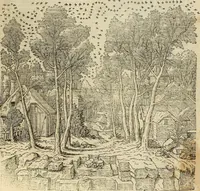 Picture 105 of 445 from The first booke of architecture : entreating of geometrie. Translated out of Italian into Dutch and out of Dutch into English (1611), leaf 92