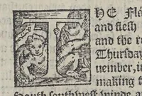 An illustration from The first booke of the historie of the discouerie and conquest of the East Indias, enterprised by the Portingales, in their daungerous nauigations, in the time of King Don Iohn, the second of that name. : VVhich historie conteineth much varietie of matter, very profitable for all Nauigators, and not vnpleasaunt to the Readers. (1582)