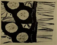An illustration from First lessons in batik; a handbook in batik, tie-dyeing and all pattern dyeing (1921)