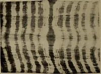 An illustration from First lessons in batik; a handbook in batik, tie-dyeing and all pattern dyeing (1921)