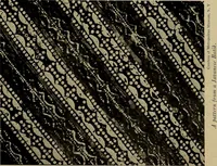 An illustration from First lessons in batik; a handbook in batik, tie-dyeing and all pattern dyeing (1921)