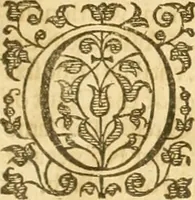An illustration from The first part of the institutes of the lawes of England, or, commentarie upon Littleton : not the name of a lawyer onely, but of the law it selfe... (1628)
