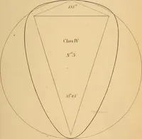 An illustration from First principles of symmetrical beauty (1846)