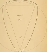 An illustration from First principles of symmetrical beauty (1846)