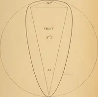 An illustration from First principles of symmetrical beauty (1846)