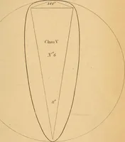 An illustration from First principles of symmetrical beauty (1846)