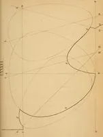 An illustration from First principles of symmetrical beauty (1846)