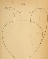 An illustration from First principles of symmetrical beauty (1846)