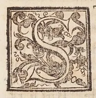 An illustration from Fiume del terrestre paradiso : diuiso in quattro capi, o discorsi / trattato difensivo del sig. dottor don Niccolò Catalano da Santo Mauro ; oue si ragguaglia il mondo nella verità dell'antica forma d'habito de' frati minori istituita da S. Francesco ; dato alle stampe dal P. M. Giulio Antonio Catalano da S. Mauro ... (1652)