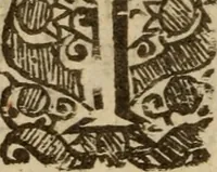 Picture 22 of 41 from Five disputations of church-government, and worship (1659), leaf 371