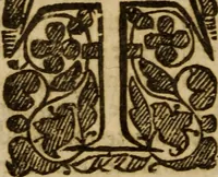 Picture 25 of 41 from Five disputations of church-government, and worship (1659), leaf 419